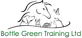 Bottle Green Training